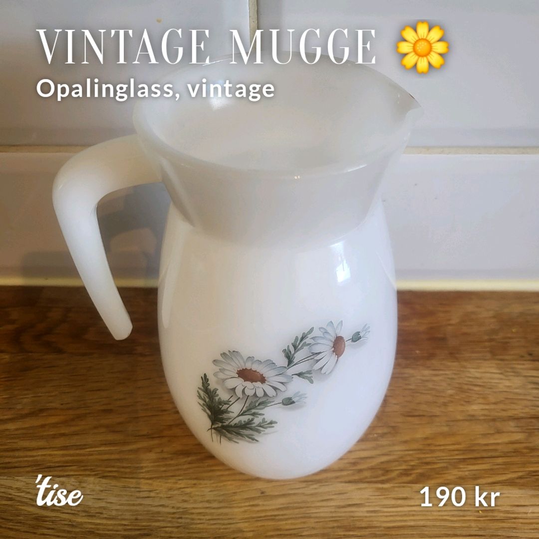 Vintage Mugge 🌼