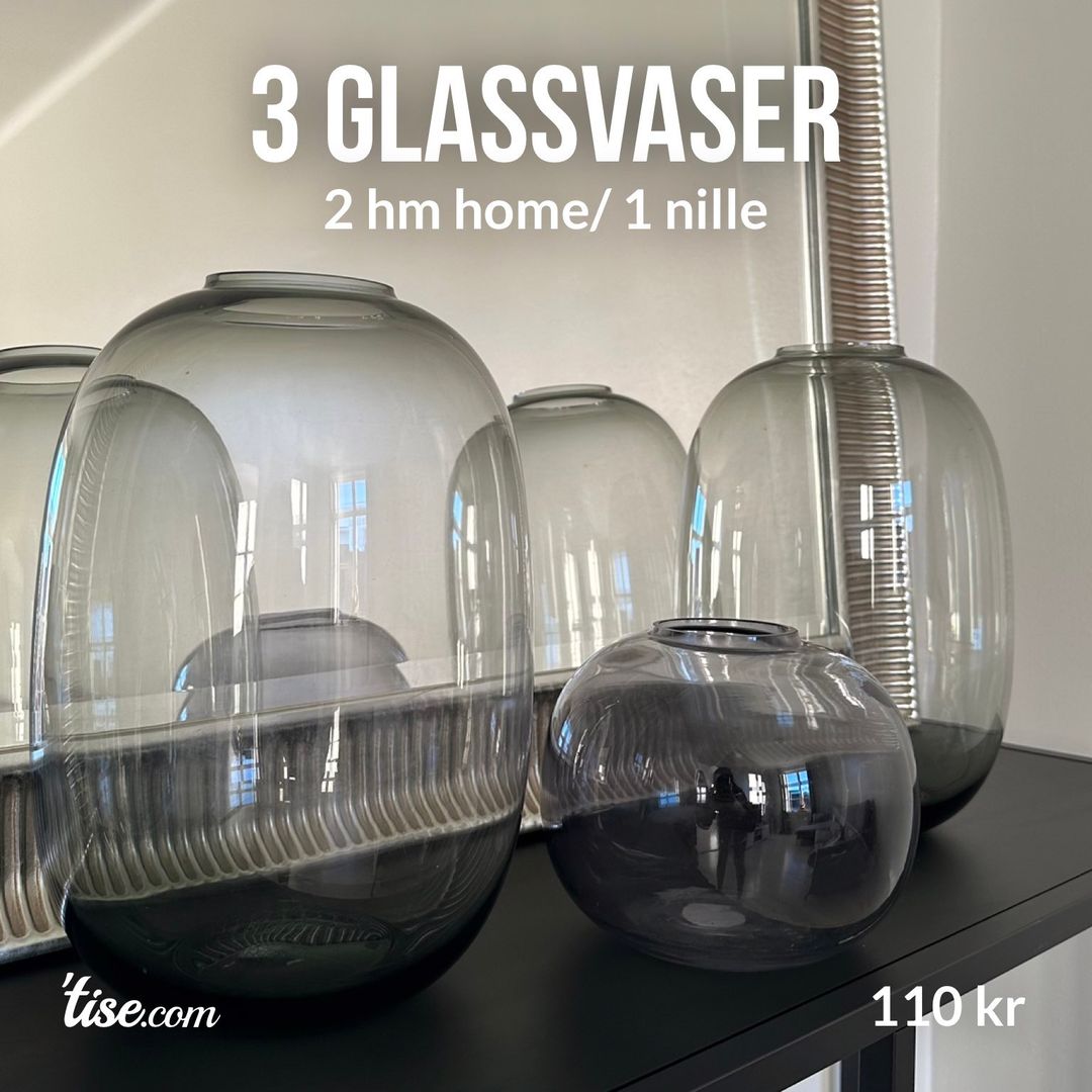 3 glassvaser