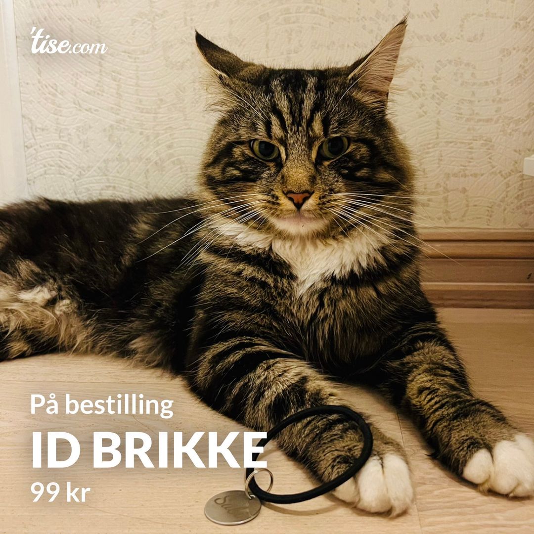 Id brikke