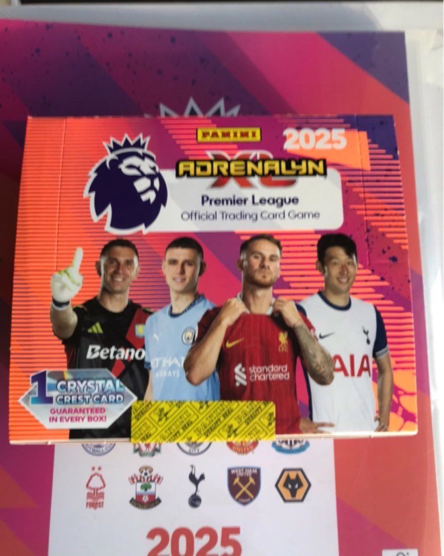 Panini PL box