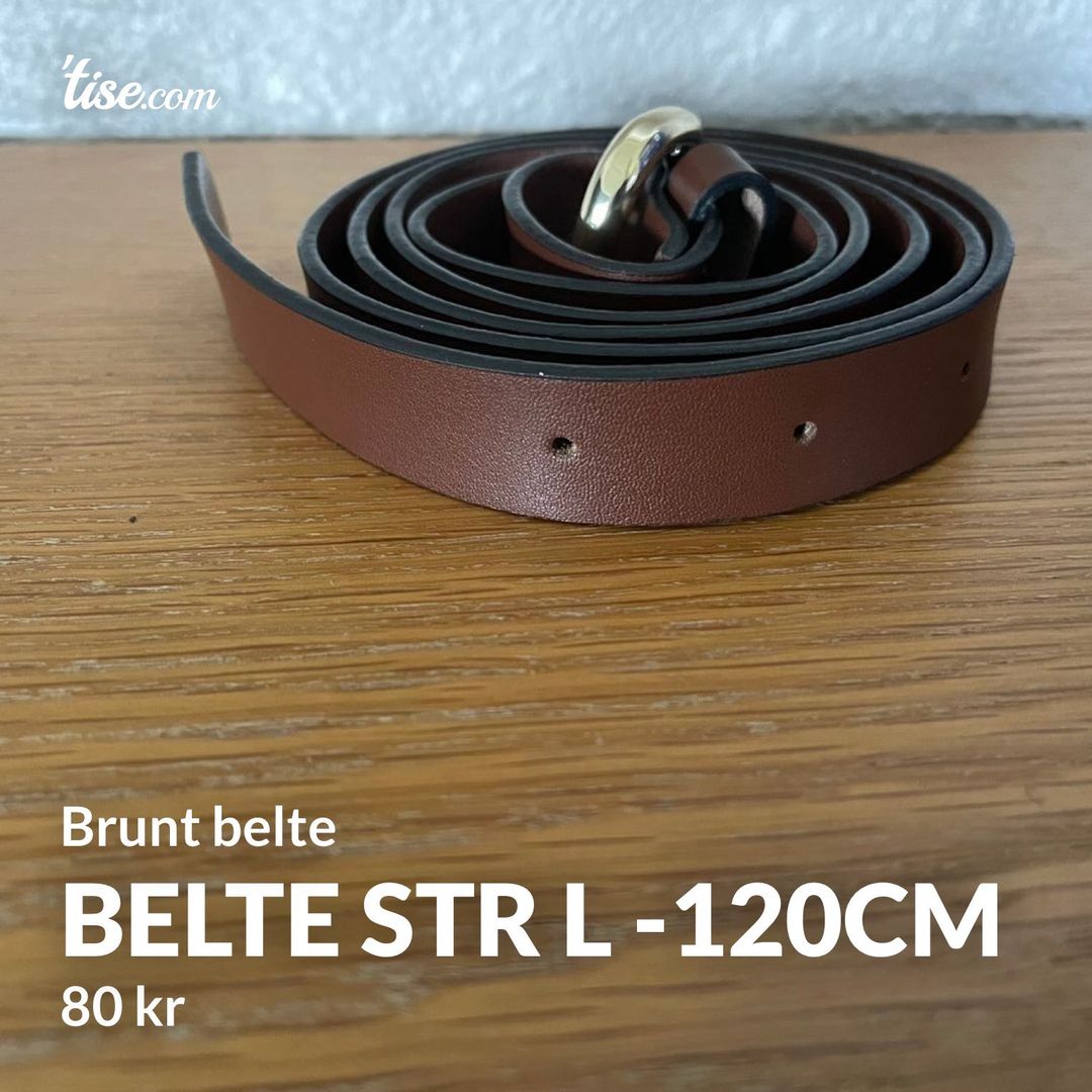 Belte str L -120cm