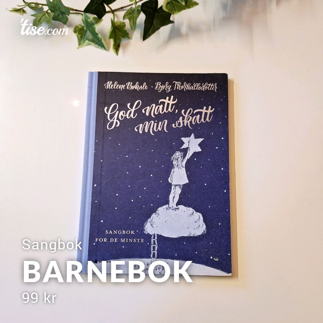 Barnebok