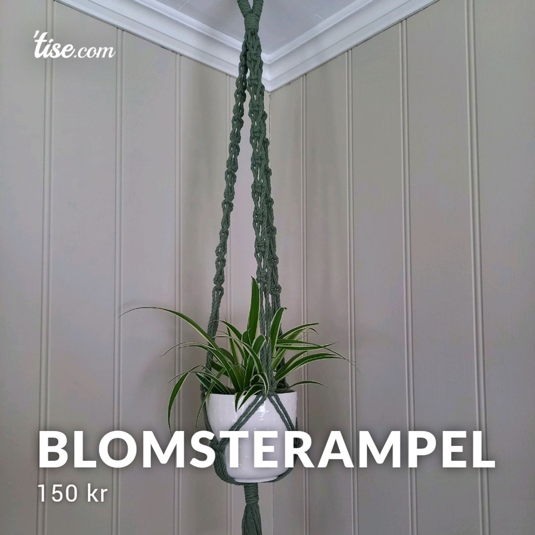 Blomsterampel