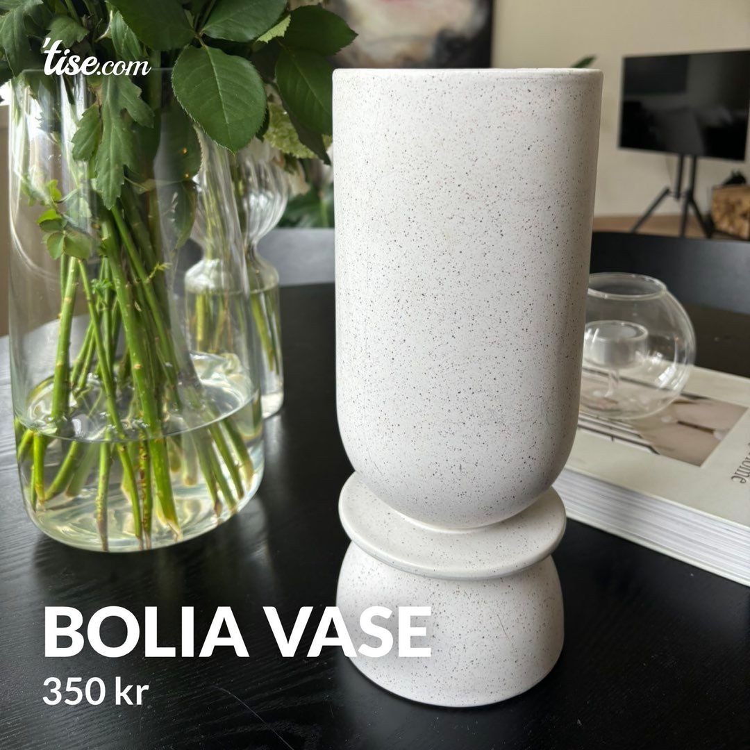 Bolia vase