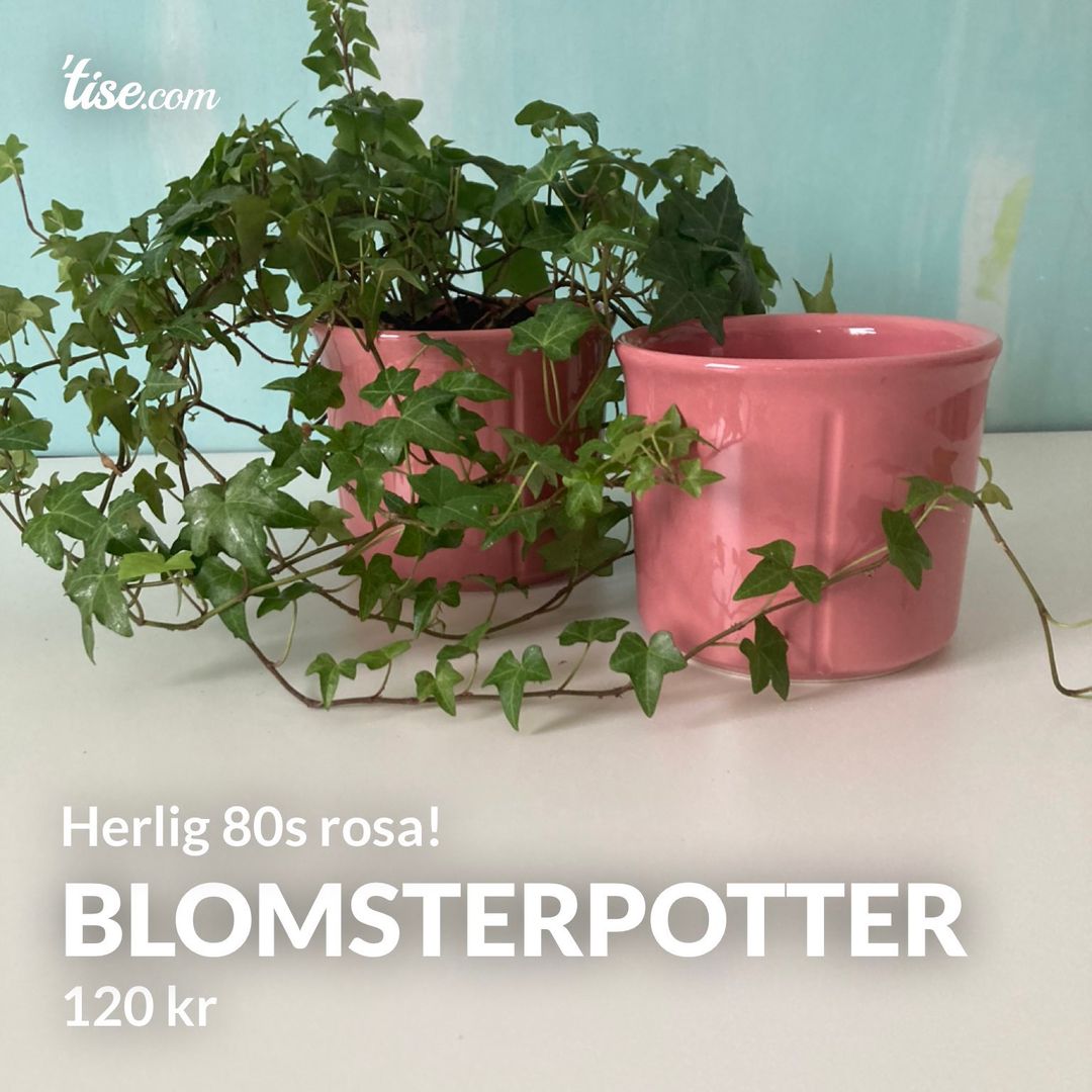 Blomsterpotter