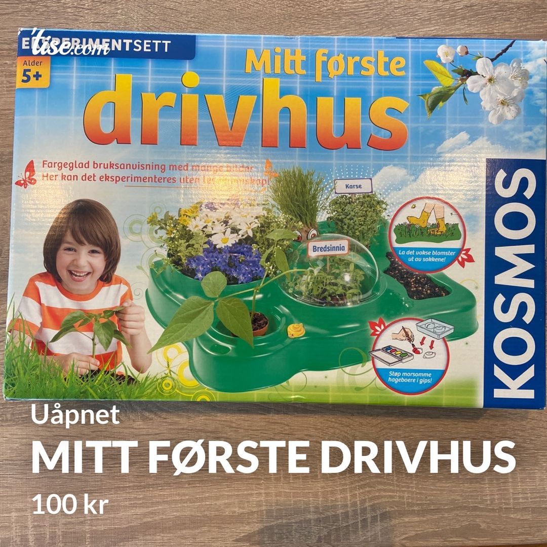 Mitt første drivhus