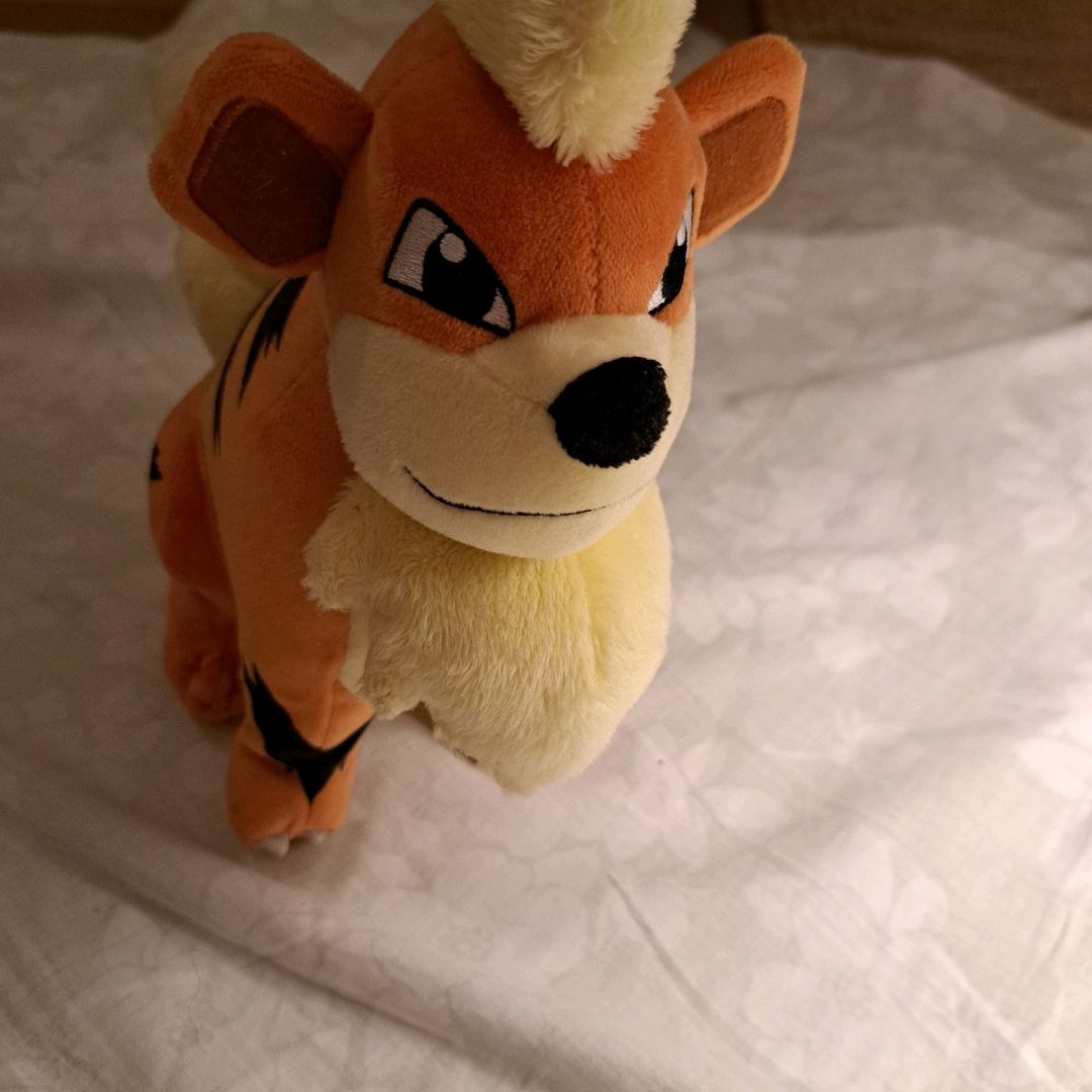 Pokemon Plushie