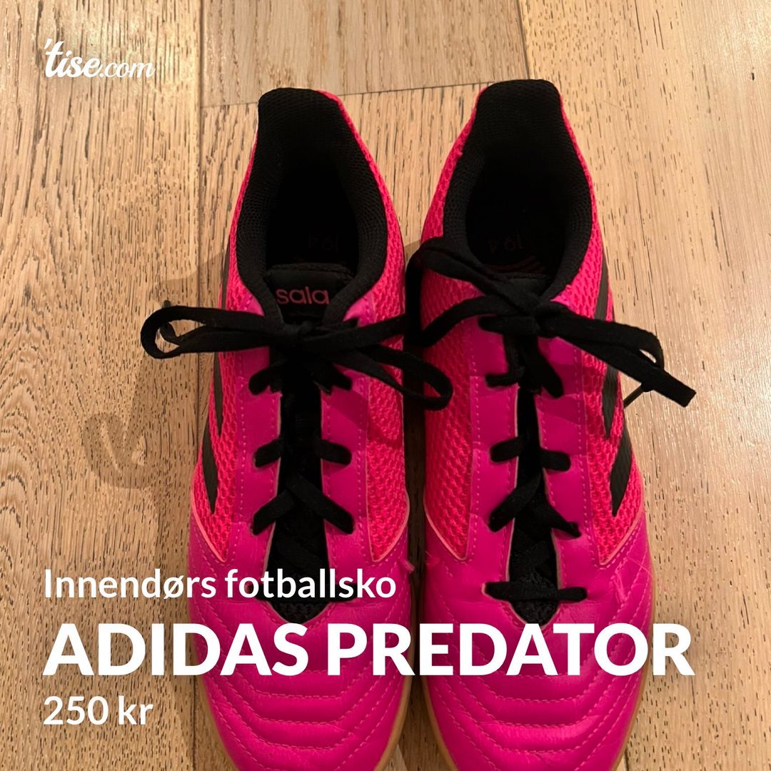 Adidas predator