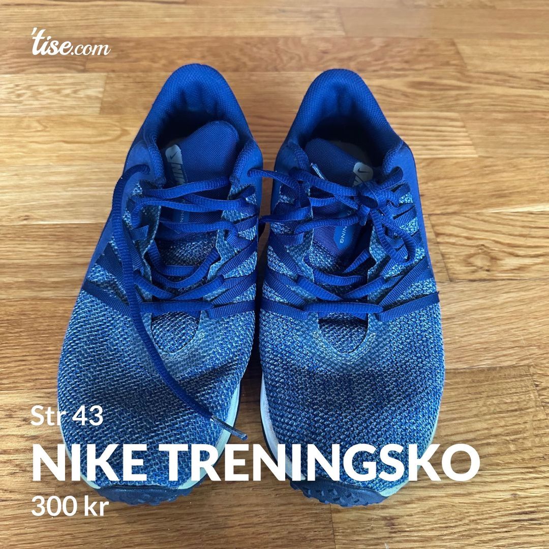 Nike treningsko