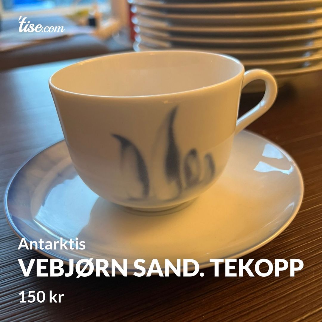 Vebjørn Sand Tekopp