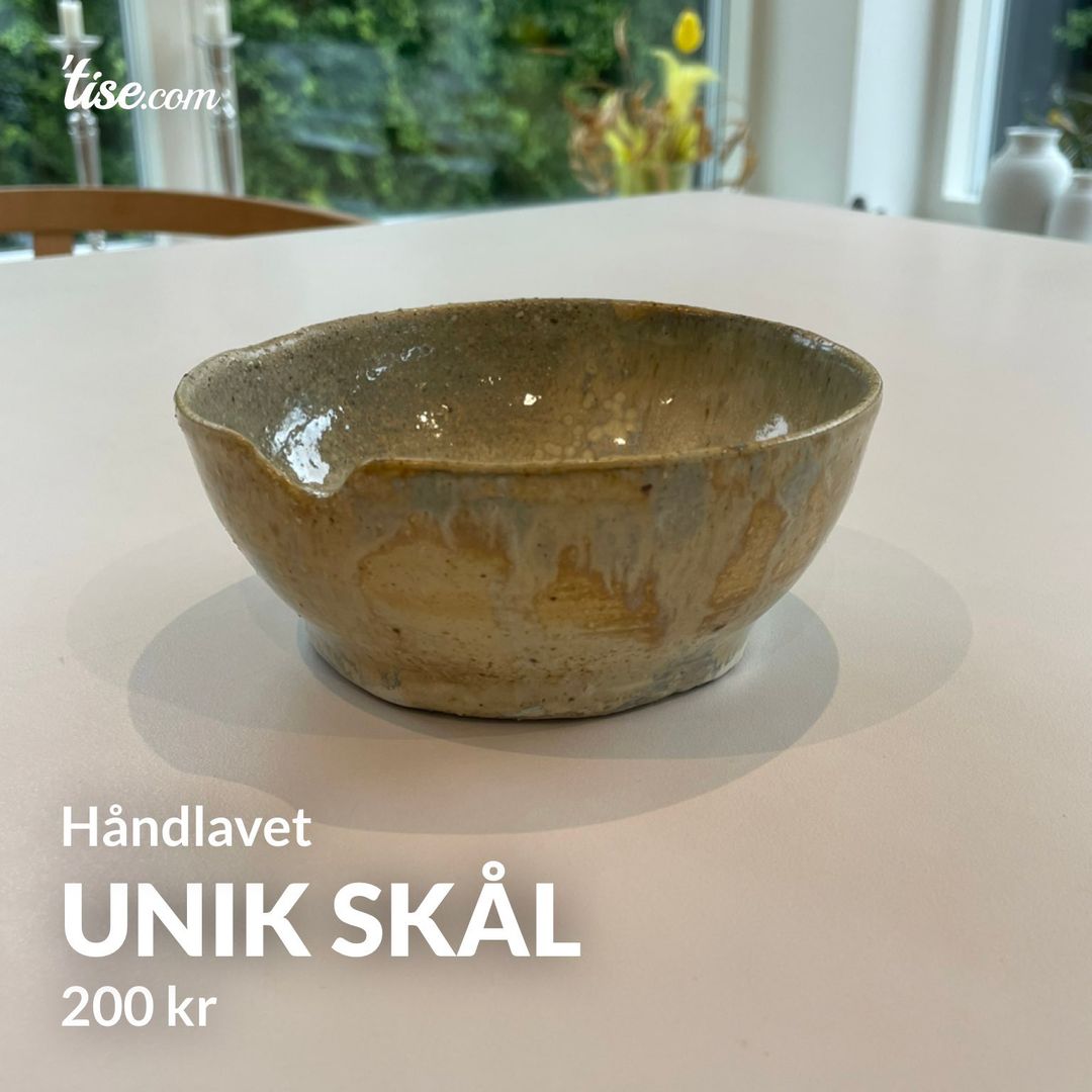 Unik skål