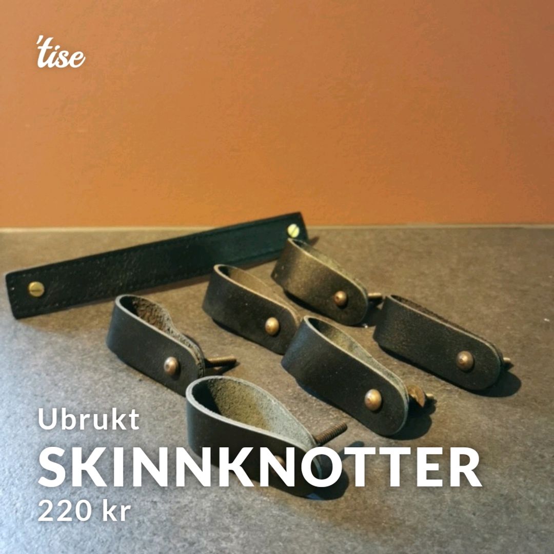 Skinnknotter