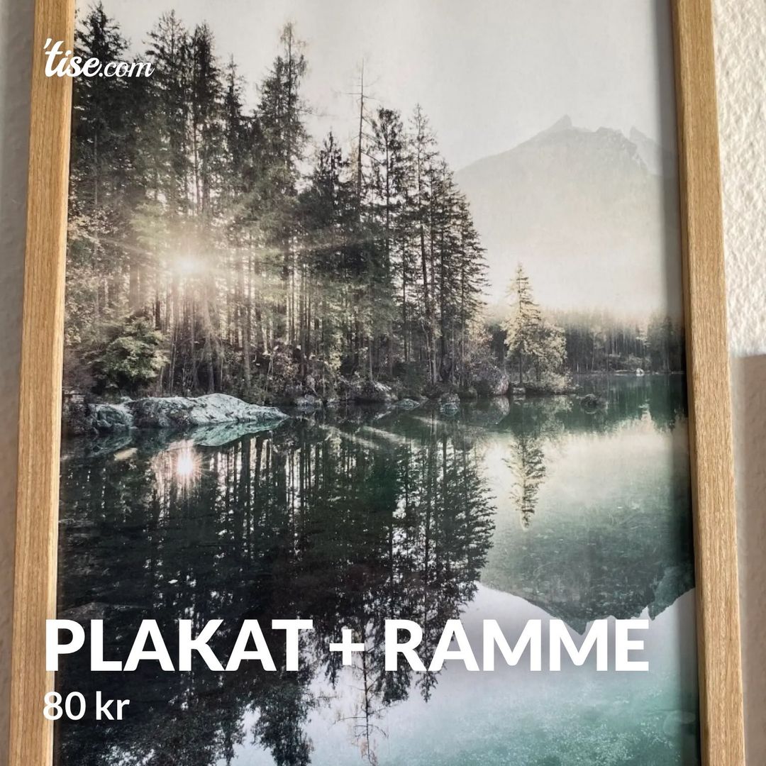 Plakat + ramme