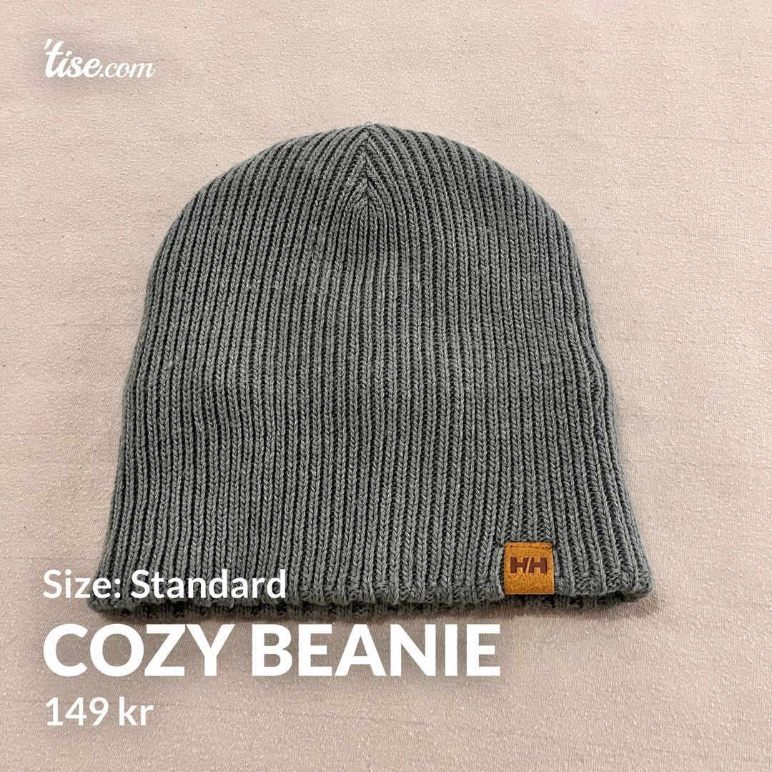 Cozy Beanie