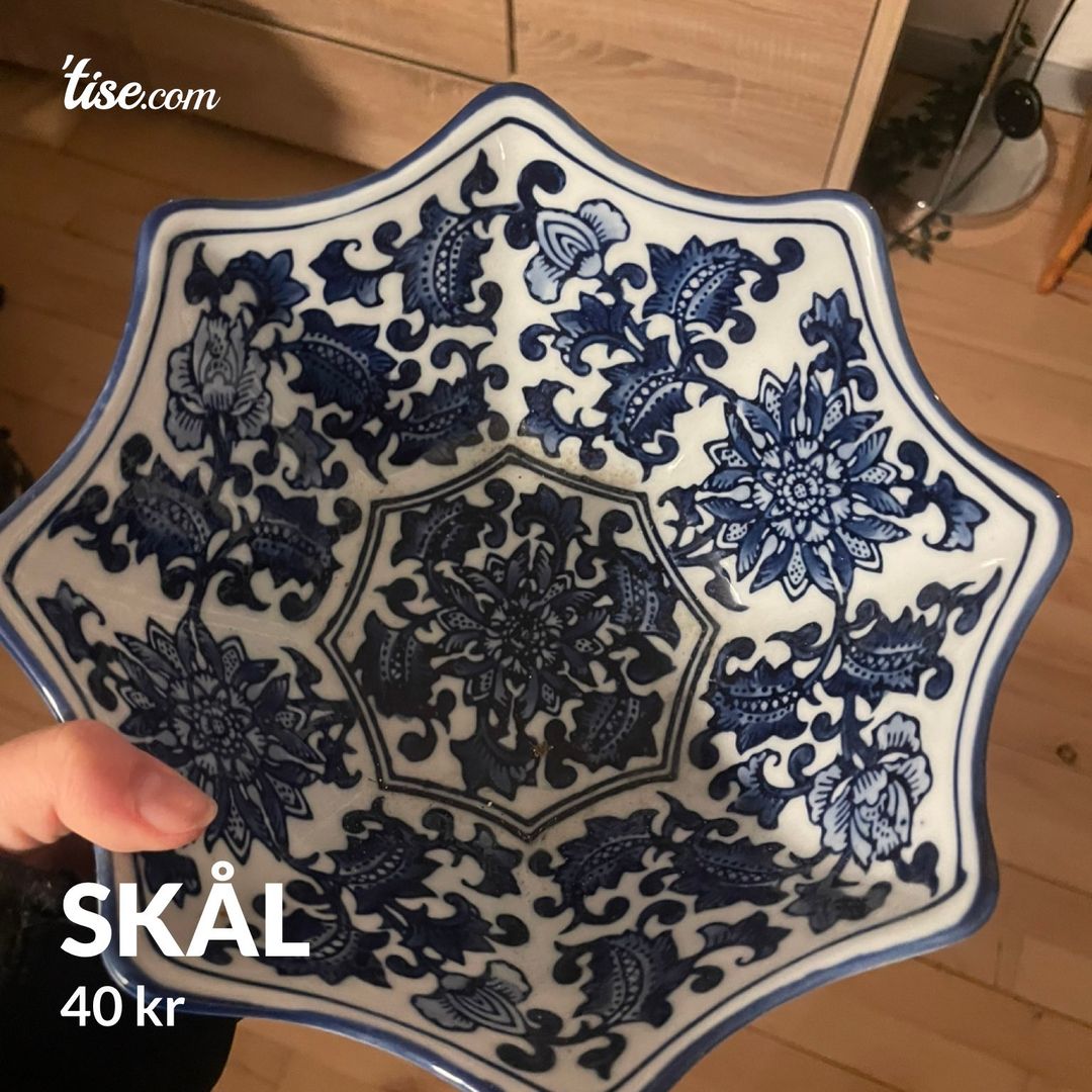 Skål