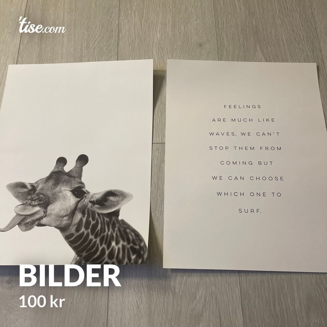 Bilder