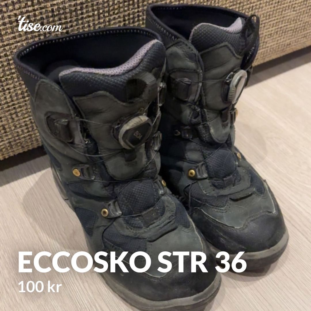 Eccosko str 36