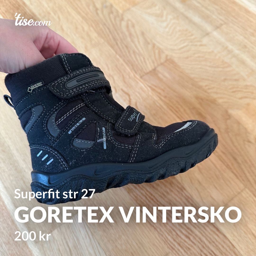 Goretex vintersko