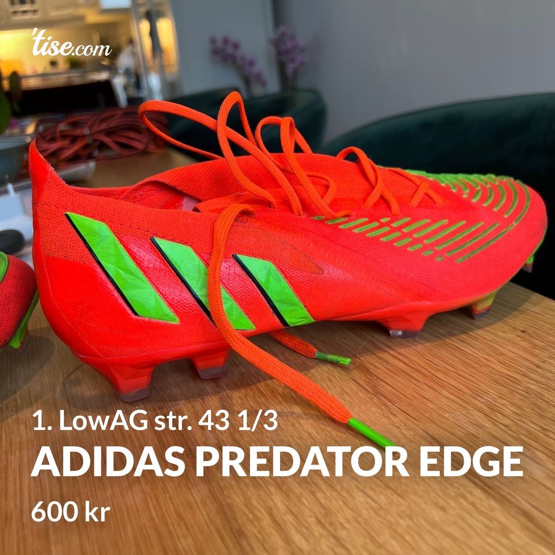 Adidas predator Edge