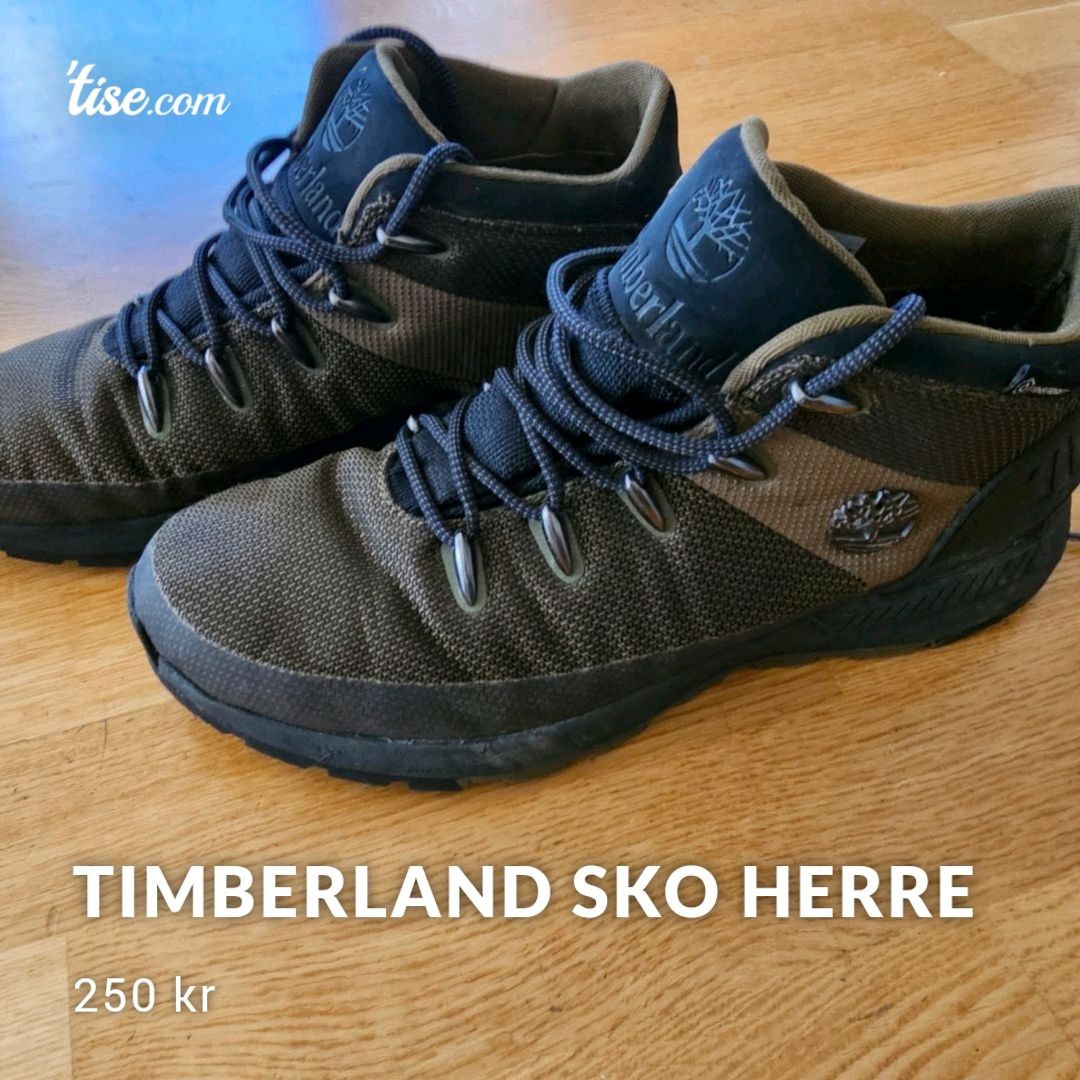 Timberland Sko Herre