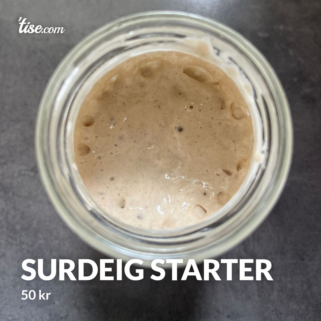 Surdeig starter