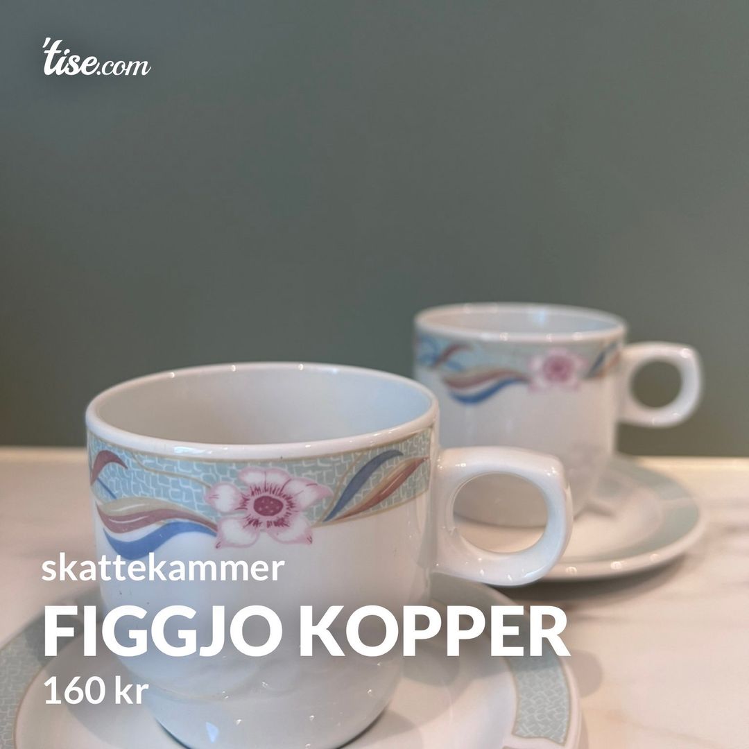 Figgjo kopper