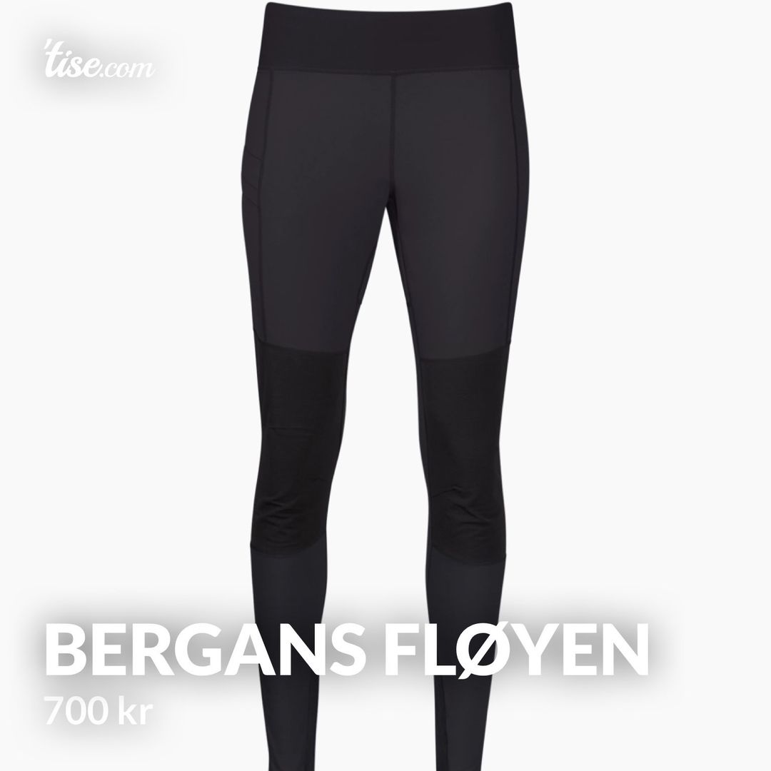 Bergans fløyen