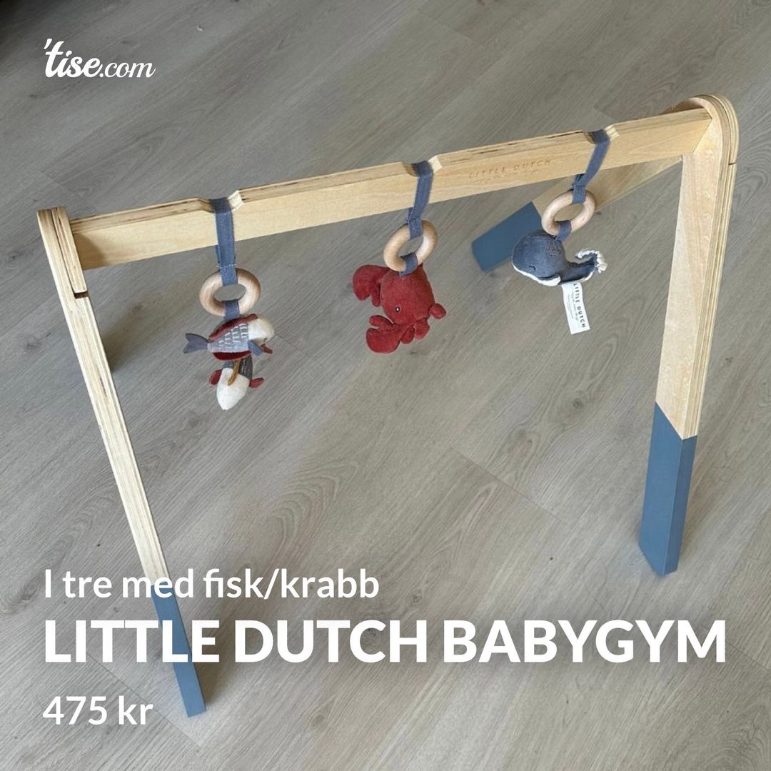 Little Dutch babygym