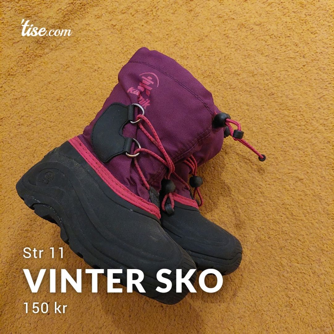 Vinter Sko