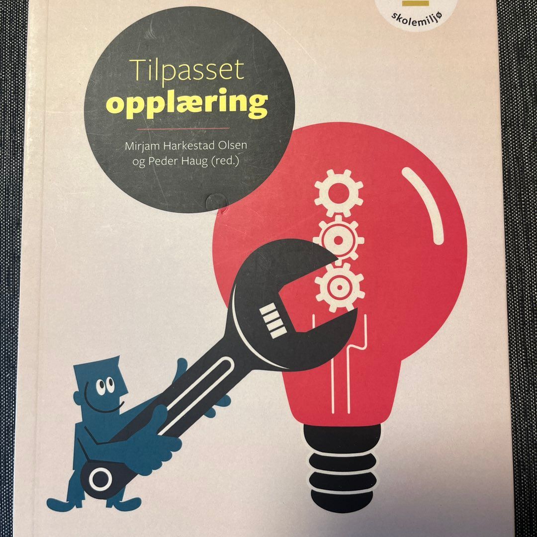 Tilpasset opplæring