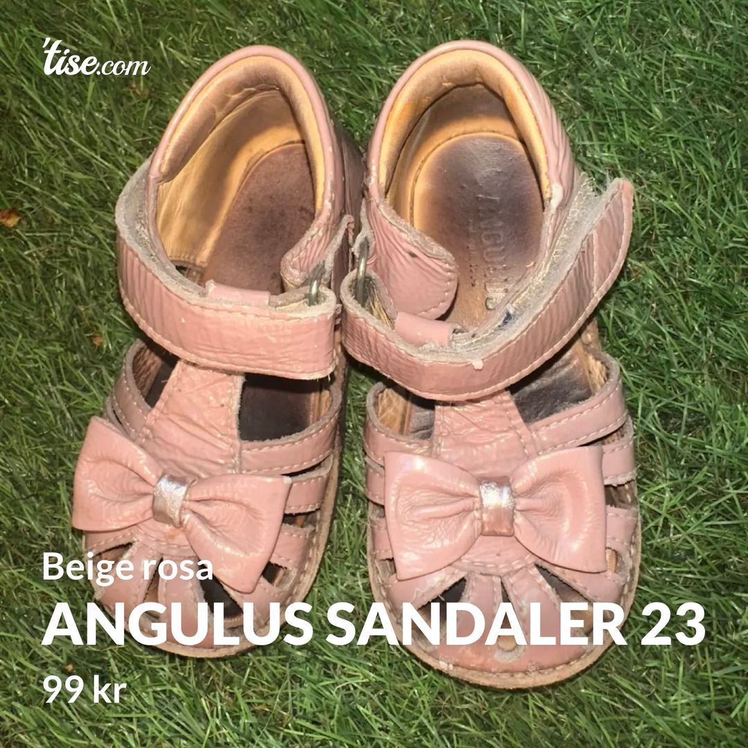 Angulus sandaler 23