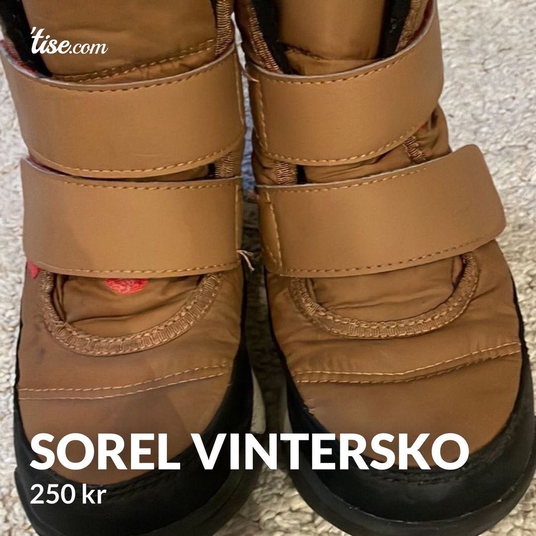 Sorel vintersko