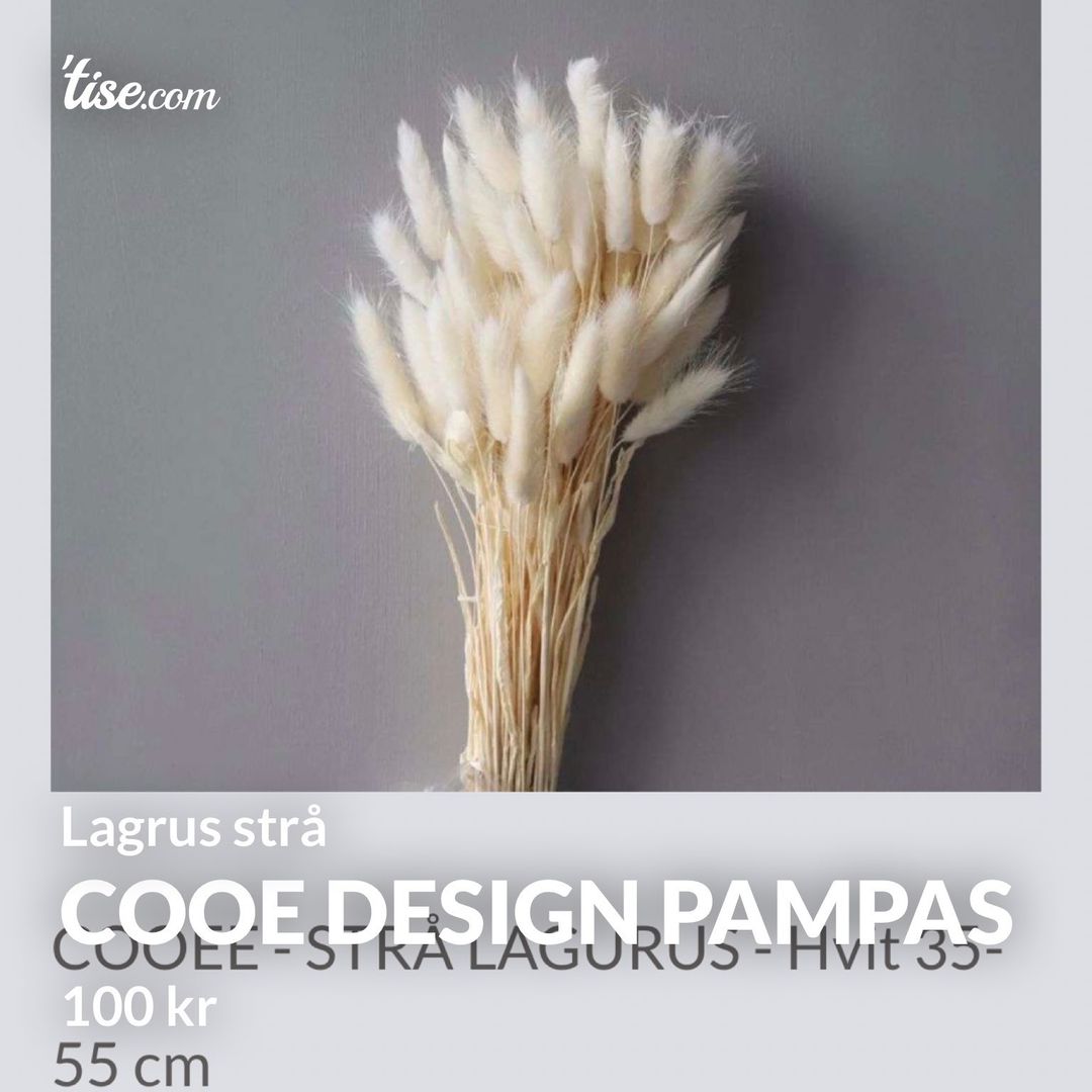 Cooe design pampas