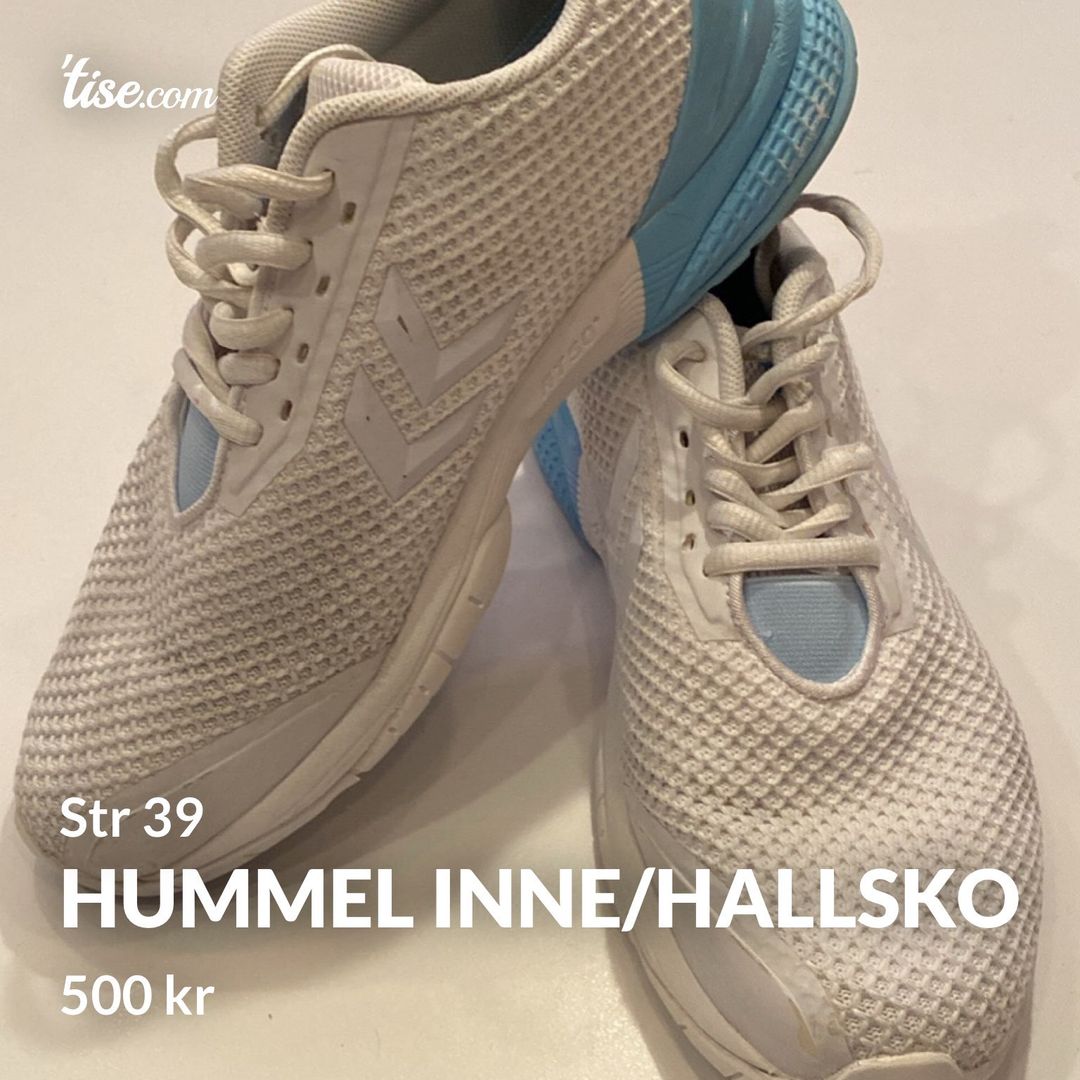 Hummel inne/hallsko