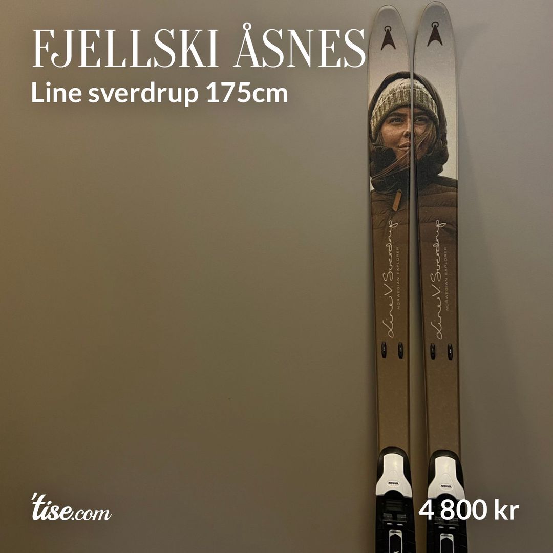 Fjellski åsnes