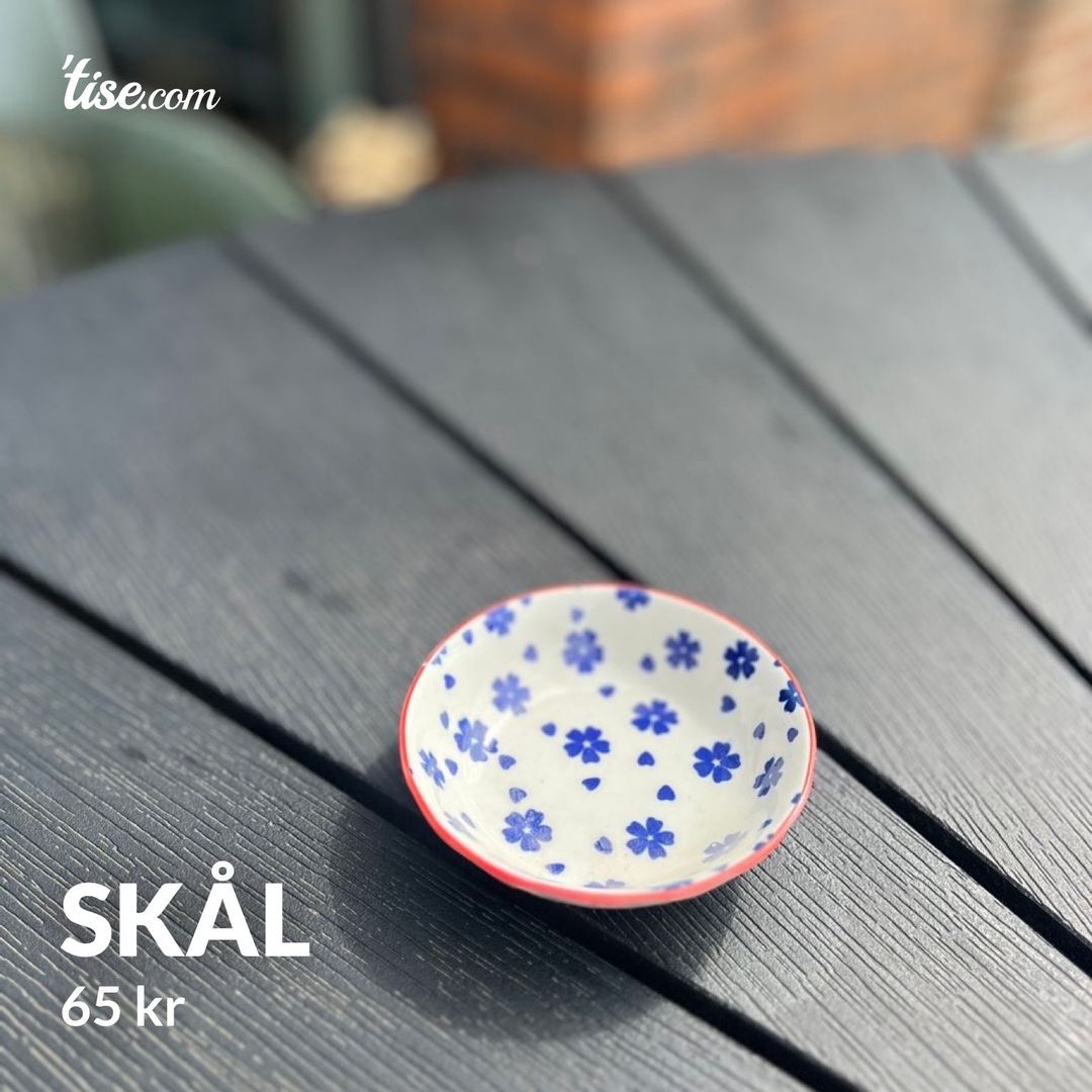 Skål