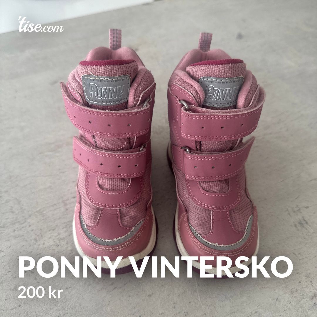 Ponny vintersko