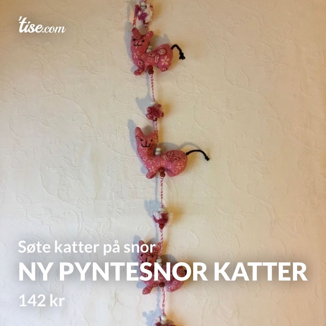 Ny pyntesnor katter