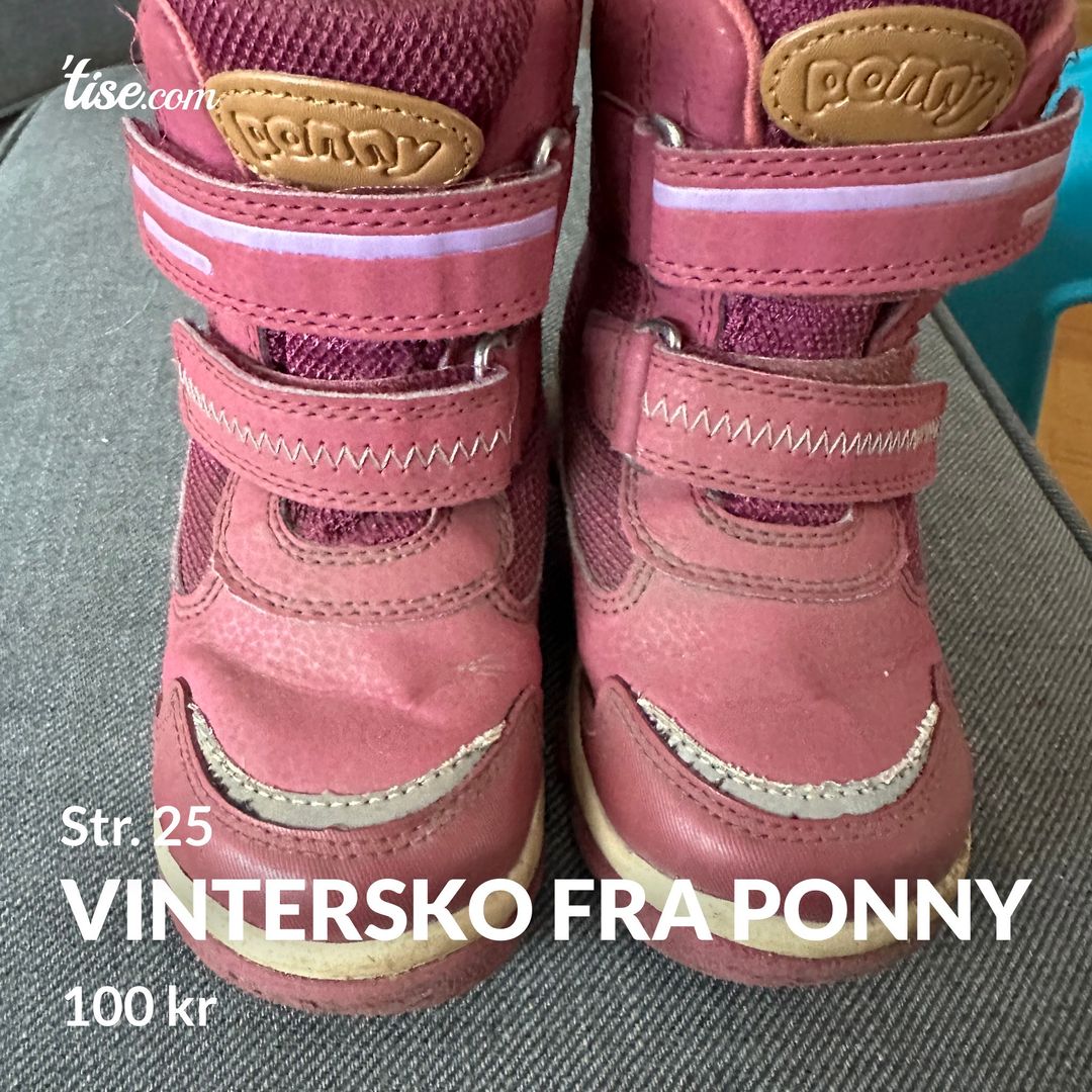 Vintersko fra ponny