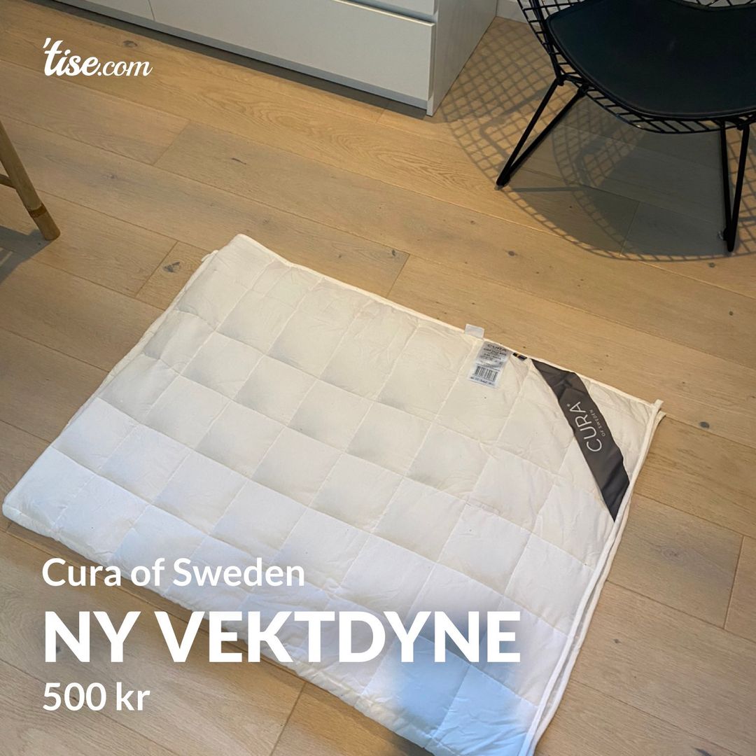 Ny vektdyne