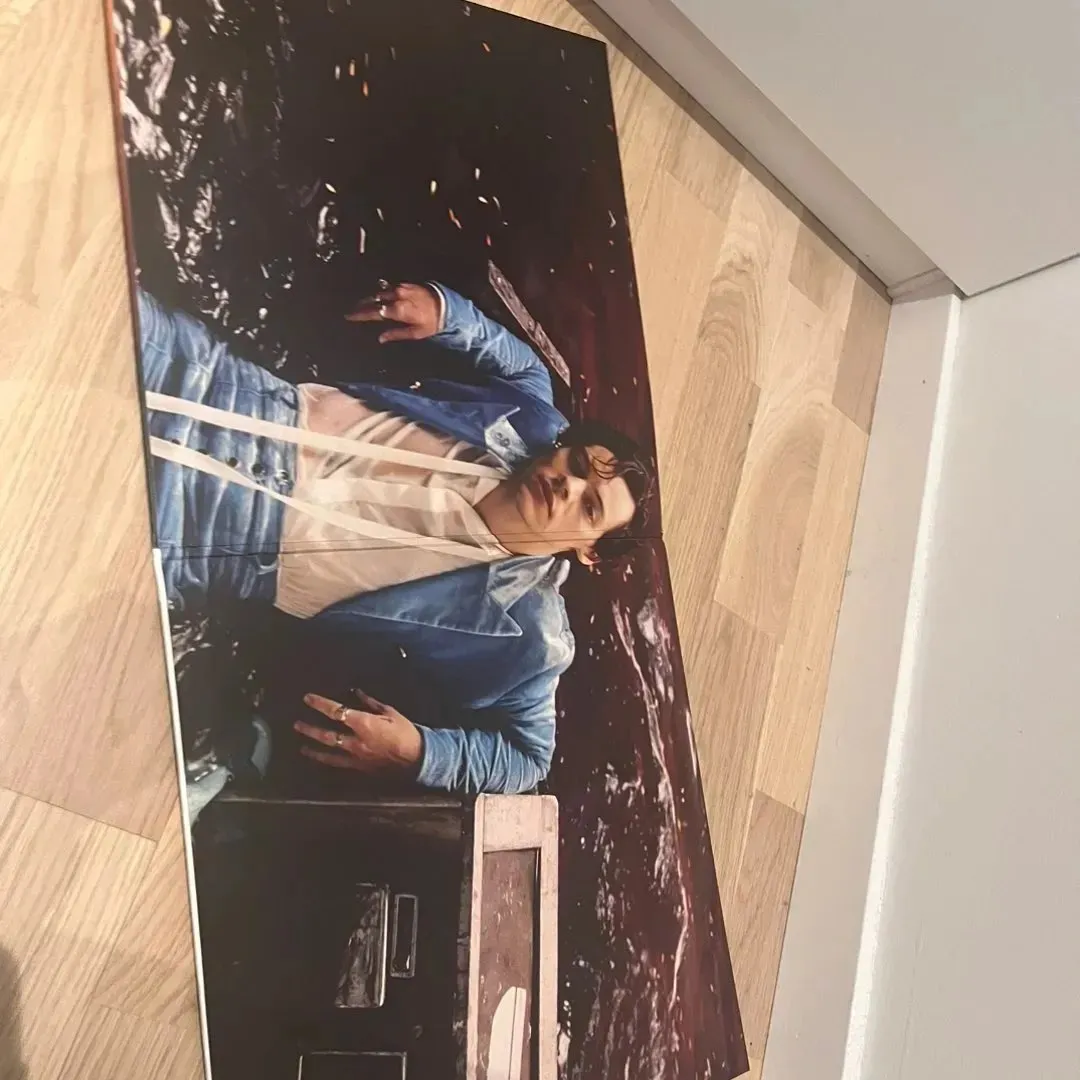 Harry Styles vinyl