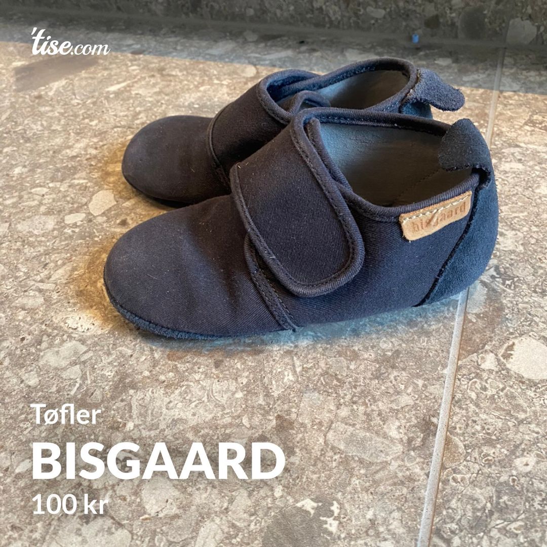 Bisgaard