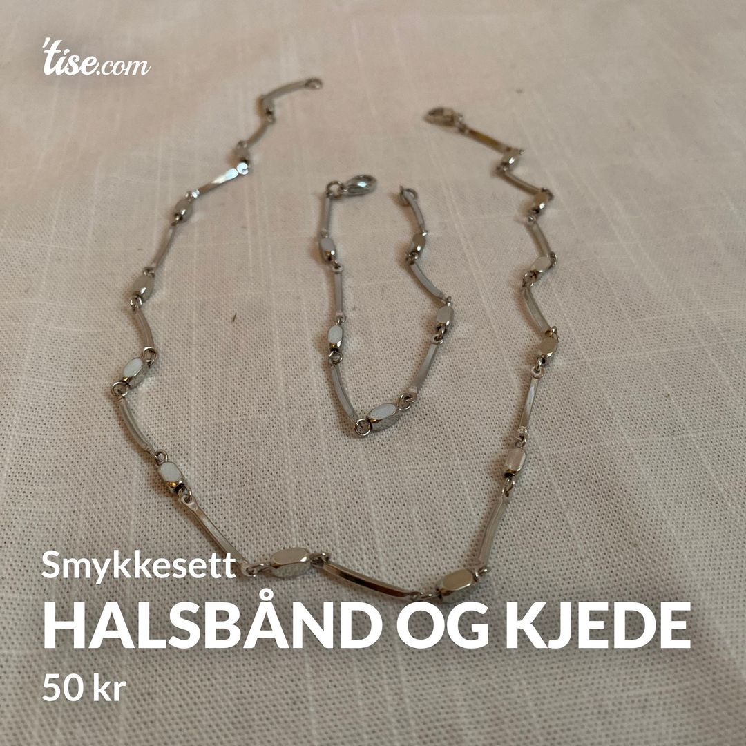 Halsbånd og kjede