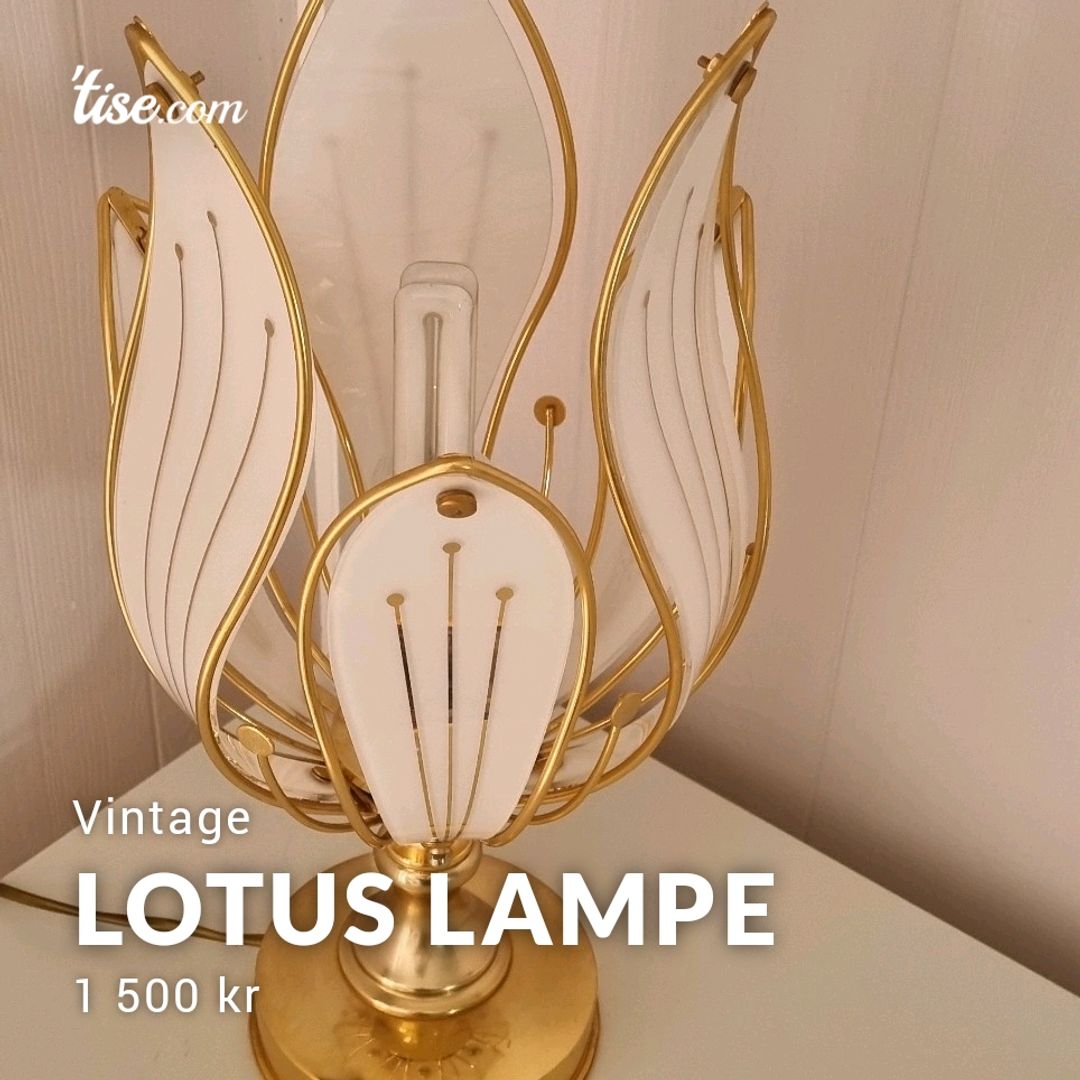 Lotus Lampe