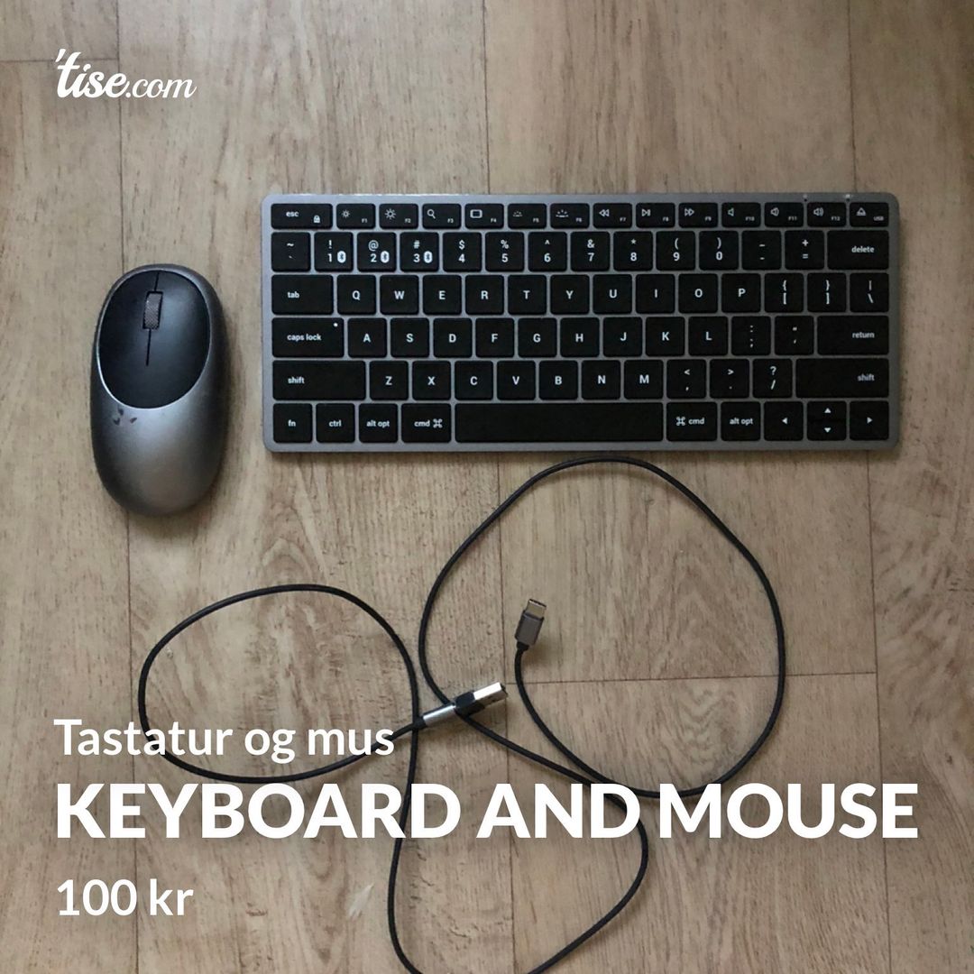 Keyboard and mouse