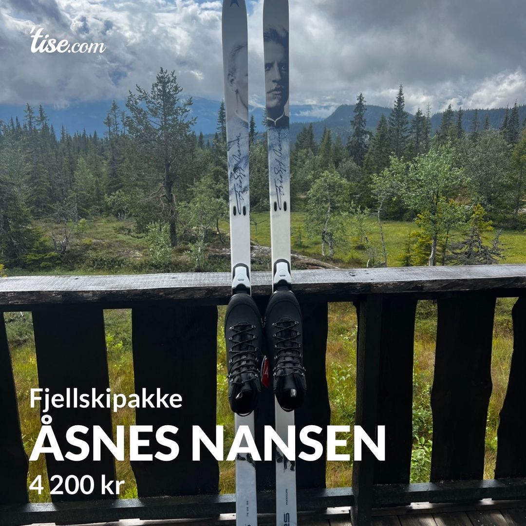 Åsnes Nansen
