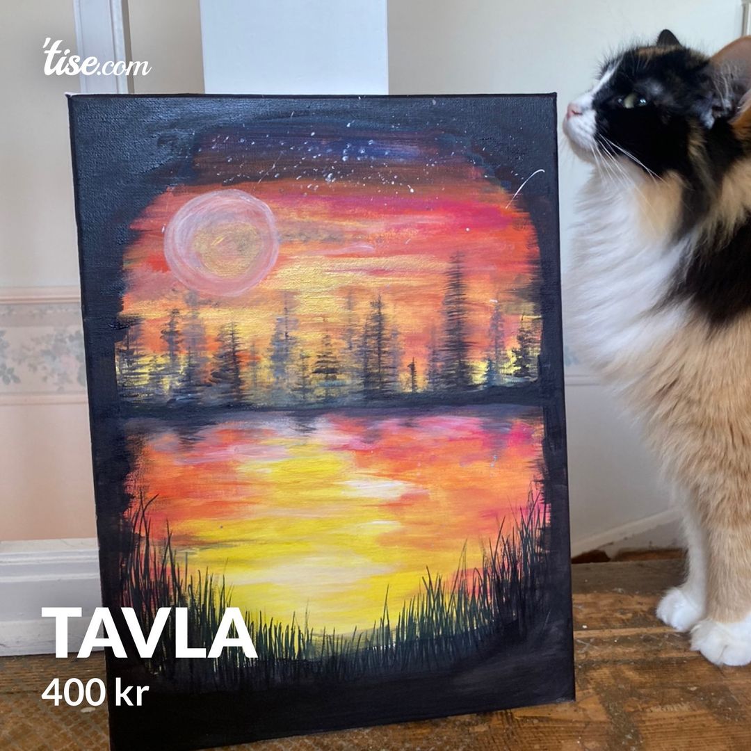 Tavla