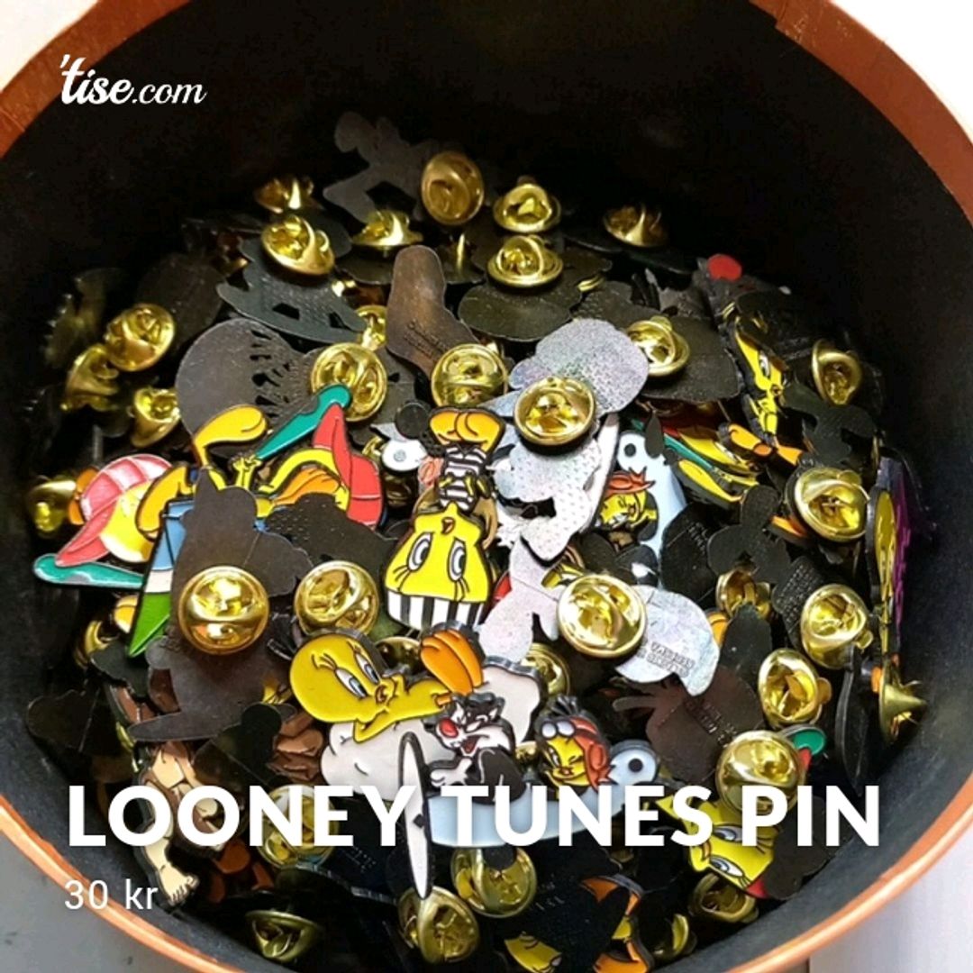 Looney Tunes Pin