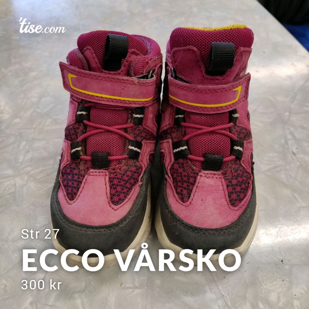 Ecco vårsko