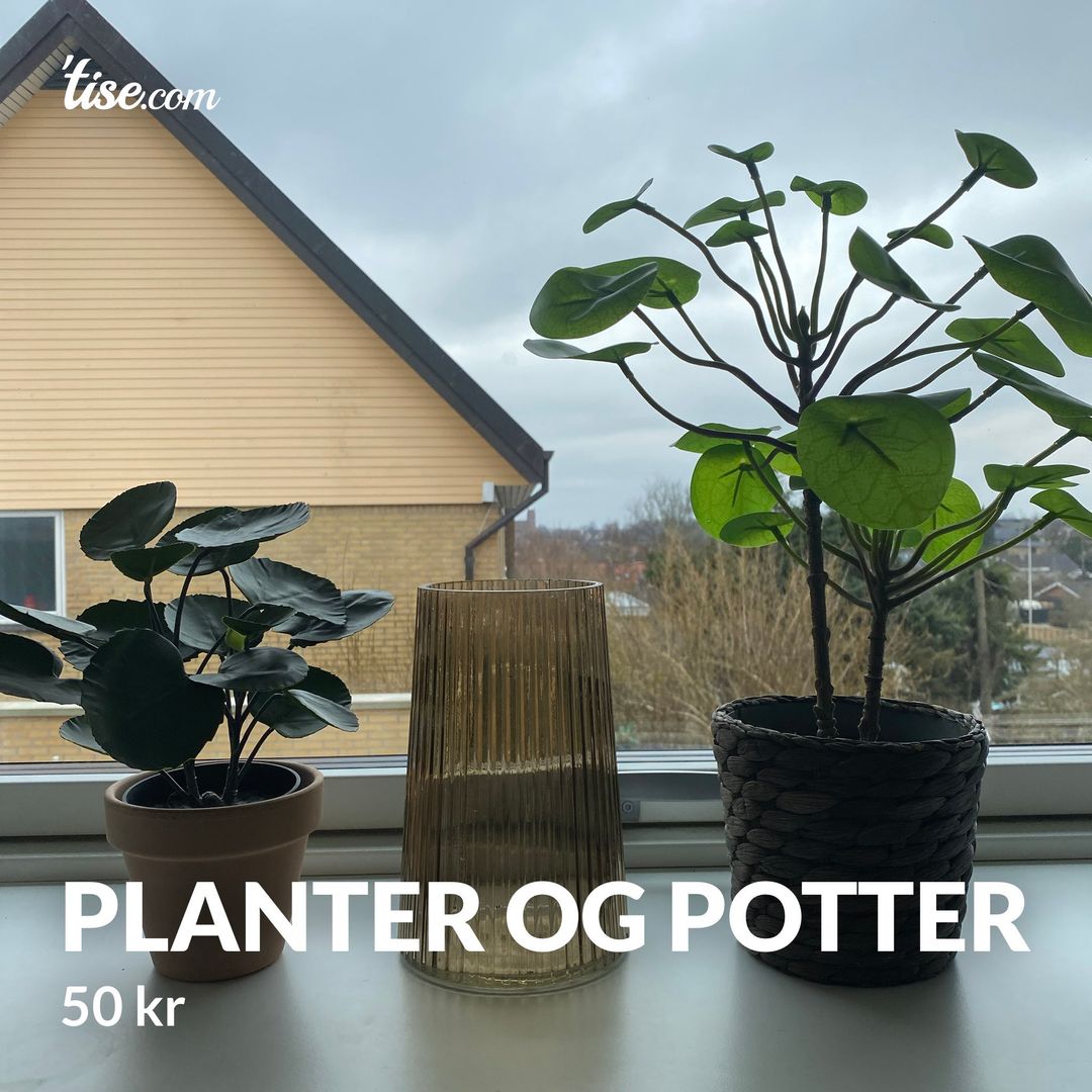 Planter og potter
